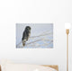 Great Grey Owl, Northern British Columbia Wall Mural