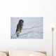 Great Grey Owl, Northern British Columbia Wall Mural