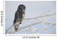 Great Grey Owl, Northern British Columbia Wall Mural