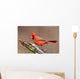 Cardinal Stump