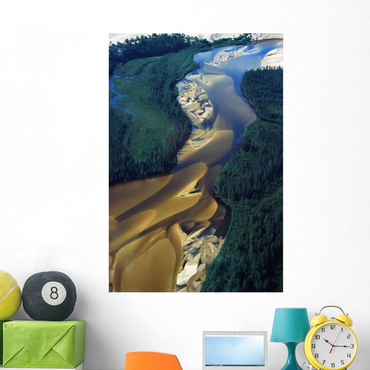Aerial View Of Williams River Wall Mural