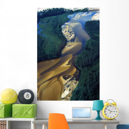 Aerial View Of Williams River Wall Mural
