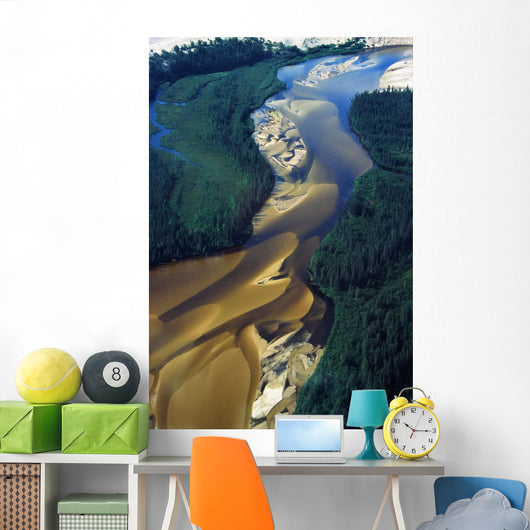 Aerial View Of Williams River Wall Mural