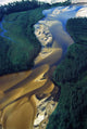 Aerial View Of Williams River Wall Mural