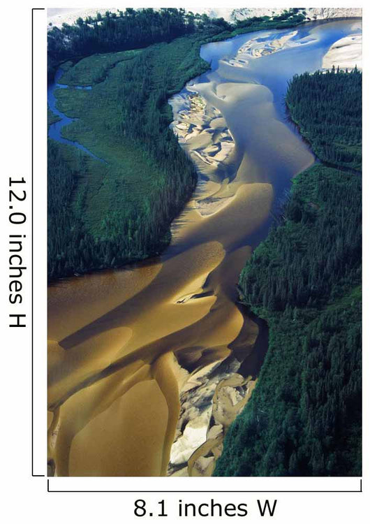 Aerial View Of Williams River Wall Mural