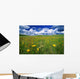 Field Of Flowers, Grasslands National Park, Saskatchewan Wall Mural