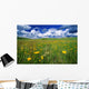 Field Of Flowers, Grasslands National Park, Saskatchewan Wall Mural