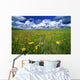 Field Of Flowers, Grasslands National Park, Saskatchewan Wall Mural
