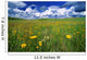 Field Of Flowers, Grasslands National Park, Saskatchewan Wall Mural