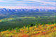 View From Ogilvie Ridge Lookout, Dempster Highway, Yukon Wall Mural