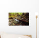 Lupin Creek, Strathcona Provincial Park, British Columbia Wall Mural