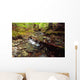 Lupin Creek, Strathcona Provincial Park, British Columbia Wall Mural