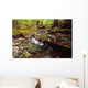 Lupin Creek, Strathcona Provincial Park, British Columbia Wall Mural