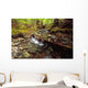 Lupin Creek, Strathcona Provincial Park, British Columbia Wall Mural