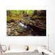 Lupin Creek, Strathcona Provincial Park, British Columbia Wall Mural