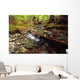 Lupin Creek, Strathcona Provincial Park, British Columbia Wall Mural