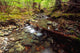 Lupin Creek, Strathcona Provincial Park, British Columbia Wall Mural