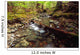 Lupin Creek, Strathcona Provincial Park, British Columbia Wall Mural