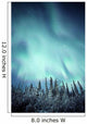 Northern Lights Over Snow Covered Trees, Along Dempster Highway, Yukon Wall Mural