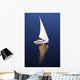 Boats Nile
