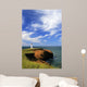 Cap Herrise Lighthouse, Magdalen Islands, Quebec Wall Mural