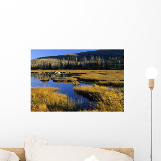 Beaver Pond, Waterton Lakes National Park, Alberta Wall Mural