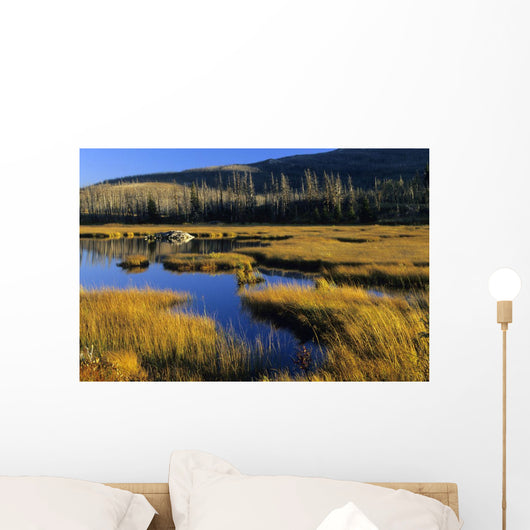 Beaver Pond, Waterton Lakes National Park, Alberta Wall Mural