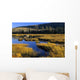 Beaver Pond, Waterton Lakes National Park, Alberta Wall Mural