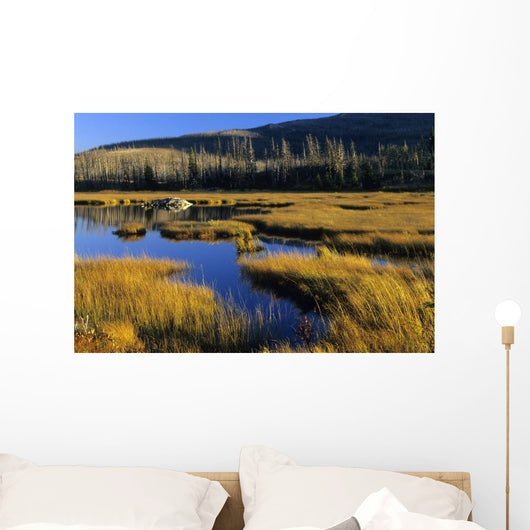 Beaver Pond, Waterton Lakes National Park, Alberta Wall Mural