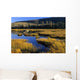 Beaver Pond, Waterton Lakes National Park, Alberta Wall Mural