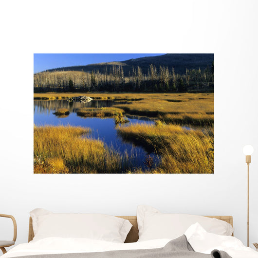 Beaver Pond, Waterton Lakes National Park, Alberta Wall Mural