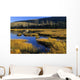 Beaver Pond, Waterton Lakes National Park, Alberta Wall Mural