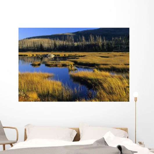 Beaver Pond, Waterton Lakes National Park, Alberta Wall Mural