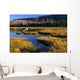 Beaver Pond, Waterton Lakes National Park, Alberta Wall Mural