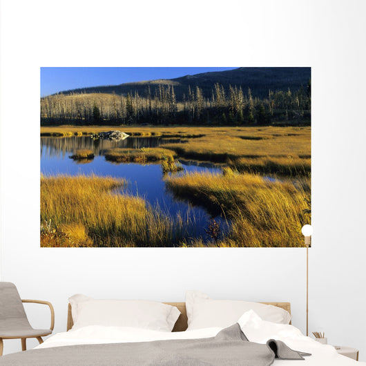 Beaver Pond, Waterton Lakes National Park, Alberta Wall Mural