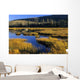 Beaver Pond, Waterton Lakes National Park, Alberta Wall Mural