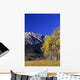 Aspen And Spruce Trees, Livingstone Range, Burmis, Alberta Wall Mural
