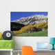 Aspen And Spruce Trees, Livingstone Range, Burmis, Alberta Wall Mural