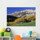 Aspen And Spruce Trees, Livingstone Range, Burmis, Alberta Wall Mural