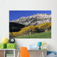 Aspen And Spruce Trees, Livingstone Range, Burmis, Alberta Wall Mural