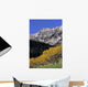 Aspen And Spruce Trees, Livingstone Range, Burmis, Alberta Wall Mural
