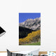 Aspen And Spruce Trees, Livingstone Range, Burmis, Alberta Wall Mural