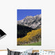 Aspen And Spruce Trees, Livingstone Range, Burmis, Alberta Wall Mural