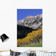 Aspen And Spruce Trees, Livingstone Range, Burmis, Alberta Wall Mural