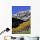 Aspen And Spruce Trees, Livingstone Range, Burmis, Alberta Wall Mural