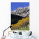 Aspen And Spruce Trees, Livingstone Range, Burmis, Alberta Wall Mural