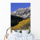 Aspen And Spruce Trees, Livingstone Range, Burmis, Alberta Wall Mural