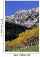 Aspen And Spruce Trees, Livingstone Range, Burmis, Alberta Wall Mural
