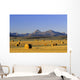 Straw Bales, Pincher Creek, Alberta Wall Mural