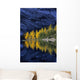 Autumn, Alpine Larch Trees, Lake Agnes, Banff National Park Wall Mural
